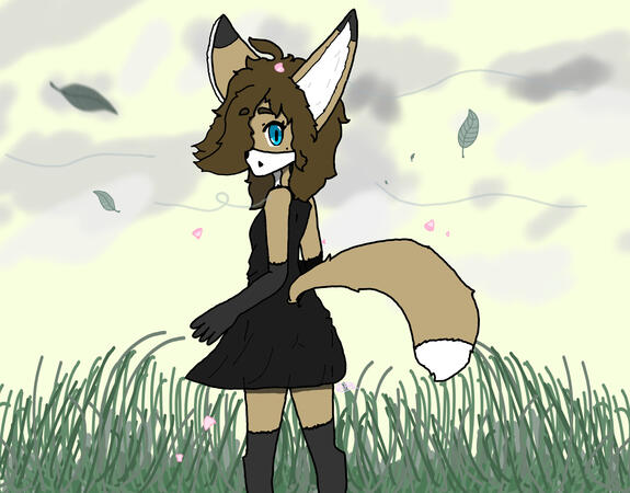 Windy Weather