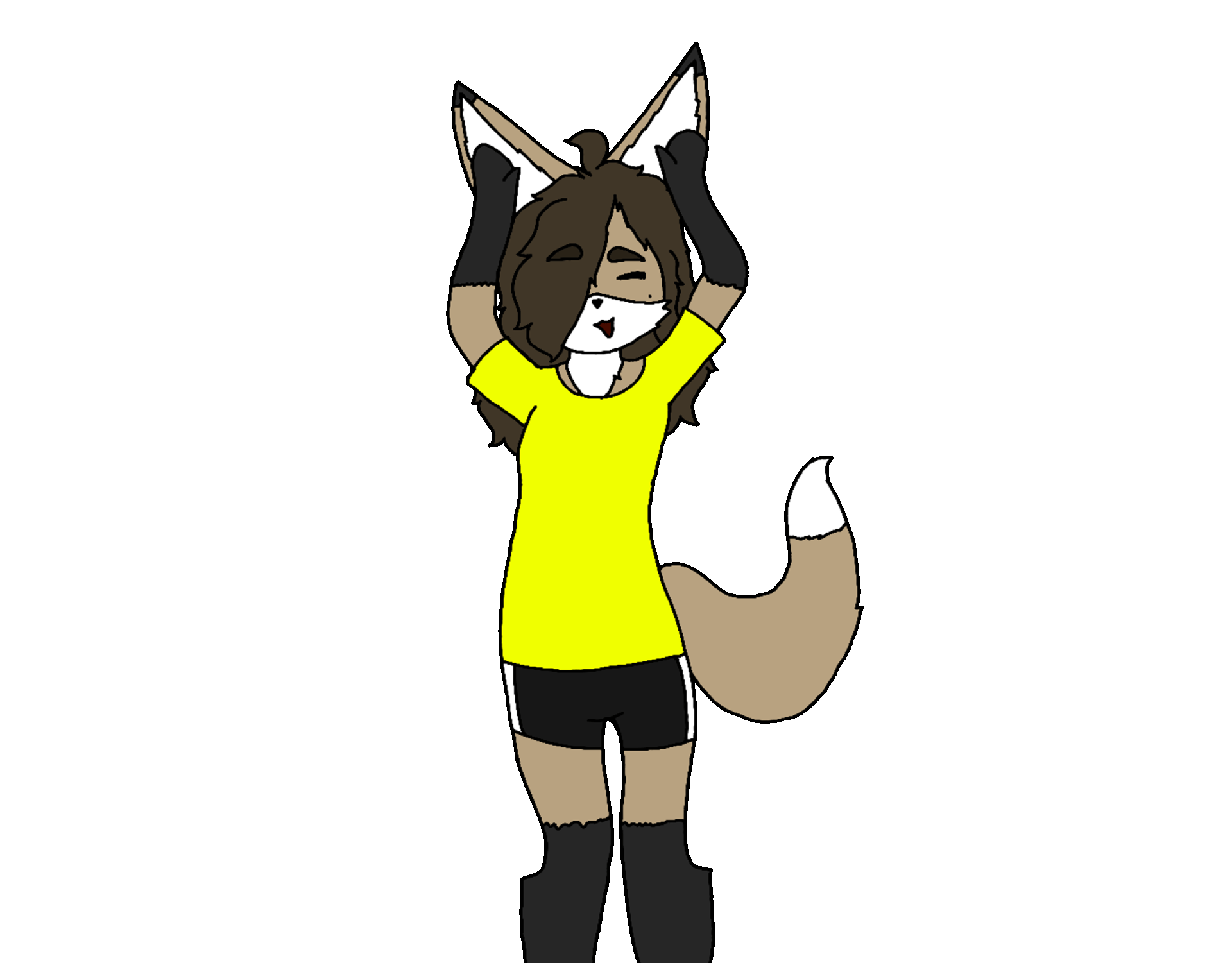 Commissions